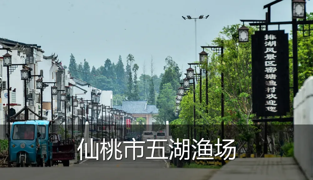 仙桃市五湖渔场
