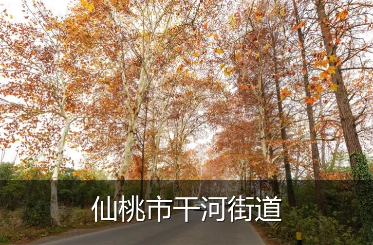 仙桃市干河街道