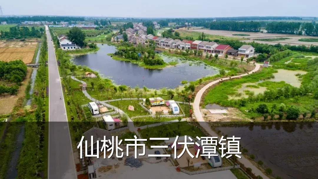 仙桃市三伏潭镇