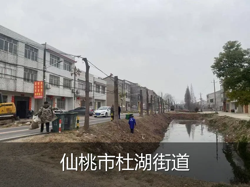 仙桃市杜湖街道