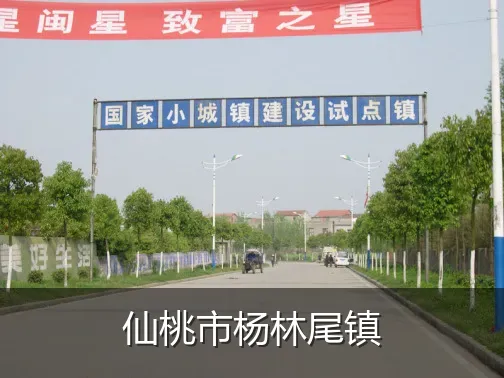 仙桃市杨林尾镇