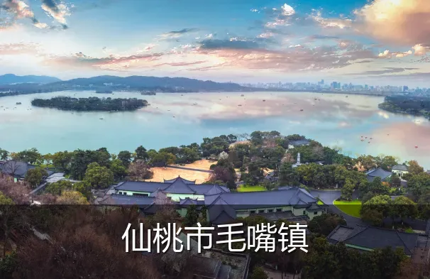 仙桃市毛嘴镇