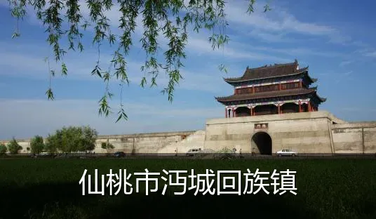 仙桃市沔城回族镇