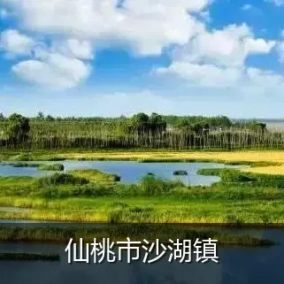 仙桃市沙湖镇