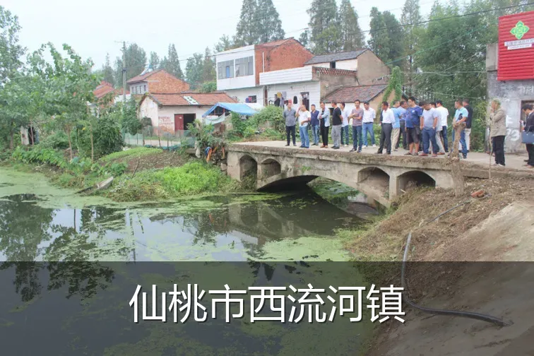 仙桃市西流河镇