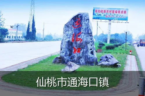 仙桃市通海口镇
