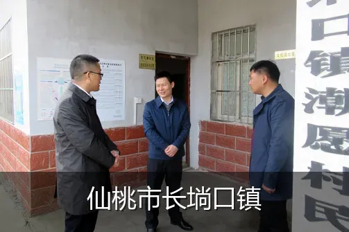 仙桃市长埫口镇